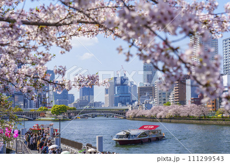 水都大阪　大川沿い　天満橋と満開の桜 111299543