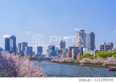 水都大阪　大川沿い　天満橋と満開の桜 111299549