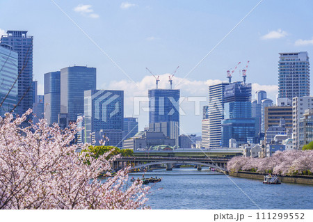 水都大阪 大川沿い 天満橋と満開の桜 水都大阪 大川沿い 天満橋と満開の桜 111299552