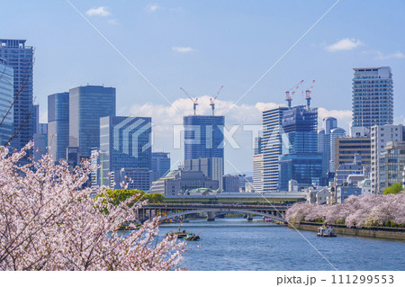 水都大阪　大川沿い　天満橋と満開の桜 111299553