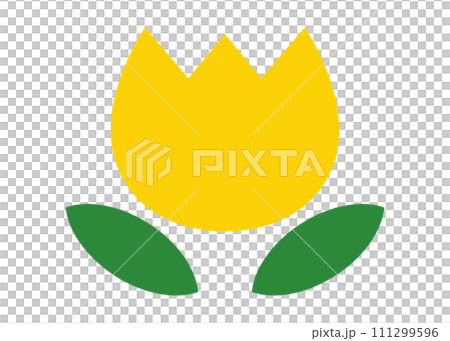 Cute tulip yellow 111299596