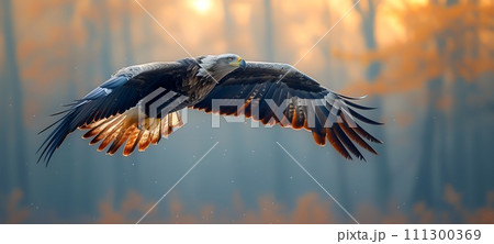 Eagle Majestic Bald in Flight  A Symbol of Power and Freedom in the Wild, Generative Ai 111300369
