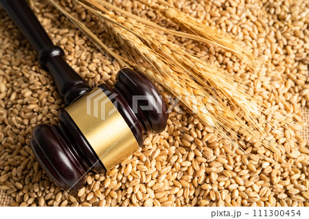 Judge hammer on grains and wheat ears from organic agriculture farm. 111300454