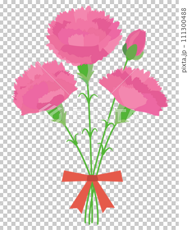 母の日に使えるピンクのカーネーションの花束のベクター画像 111300488