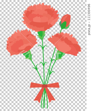 母の日に使える赤いカーネーションの花束のベクター画像 111300496
