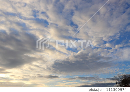 雲の多い朝の空 太陽光 木 雲の多い朝の空 太陽光 木 111300974