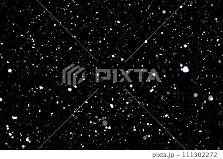降雪、黒背景 111302272