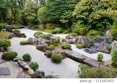 春の京都市退蔵院 枯山水庭園 元信の庭 春の京都市退蔵院 枯山水庭園 元信の庭 111302455