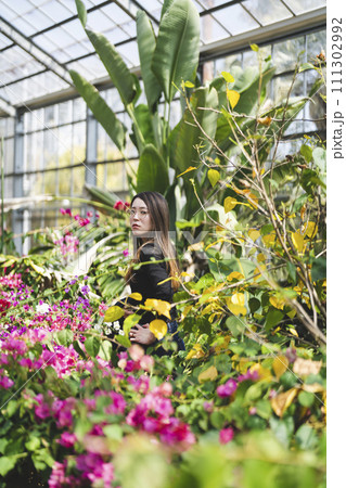 植物園の女性 111302992