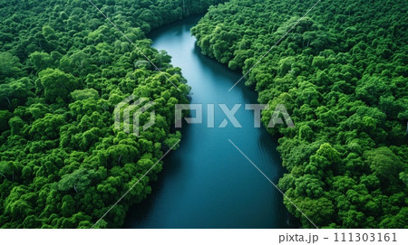 landscape river in the jungle top view 111303161