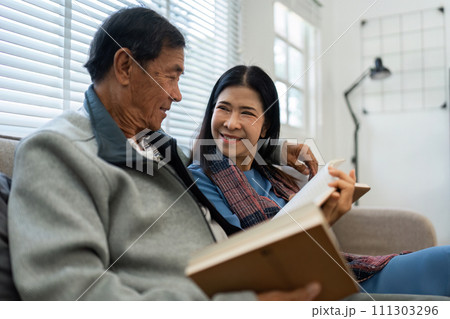 Retired elderly couple sits on couch in their home reading relaxing book. Senior Activity Concept 111303296