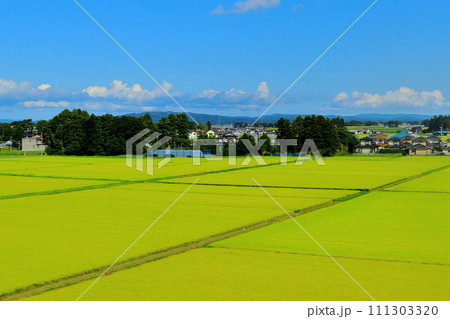新幹線の窓から見た 真夏の田園風景と青空《宮城県》 新幹線の窓から見た 真夏の田園風景と青空《宮城県》 111303320