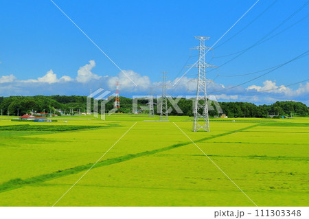 新幹線の窓から見た 真夏の田園風景と青空《宮城県》 新幹線の窓から見た 真夏の田園風景と青空《宮城県》 111303348