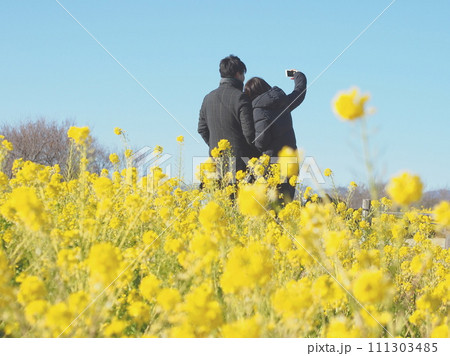 菜の花畑で写真を撮るカップル 111303485