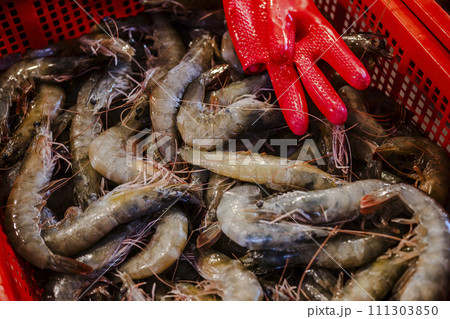 鮮魚店 さかなや さかな屋 111303850