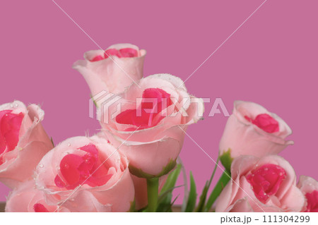 Close-up of pink roses on pink background, Valentine's Day Close-up of pink roses on pink background, Valentine's Day 111304299