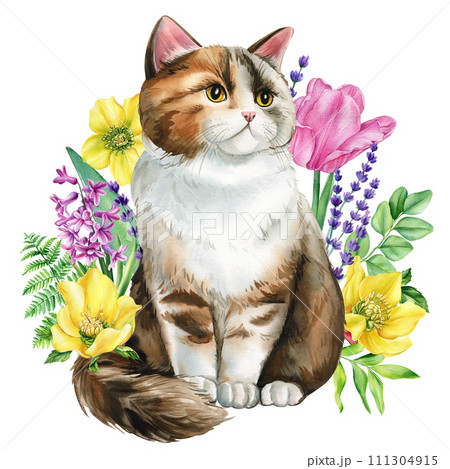 Cat with spring flower hyacinth, tulip, lavender isolated background. Hand drawing illustration watercolor painting Cat with spring flower hyacinth, tulip, lavender isolated background. Hand drawing illustration watercolor painting 111304915