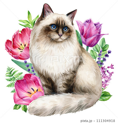 Funny cat with spring flower hyacinth, tulip, iris isolated background. Animal illustration watercolor painting, design Funny cat with spring flower hyacinth, tulip, iris isolated background. Animal illustration watercolor painting, design 111304918