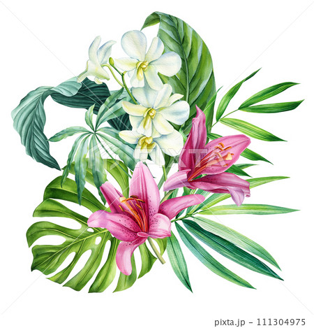 Exotic orchid, lily flowers, palm leaves drawn in watercolor. Botanical trendy compositions. Botanic plants isolated Exotic orchid, lily flowers, palm leaves drawn in watercolor. Botanical trendy compositions. Botanic plants isolated 111304975
