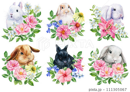 Rabbit and flower, baby bunny on isolated white background. Watercolor hand drawn illustration. Set of cute animals 111305067