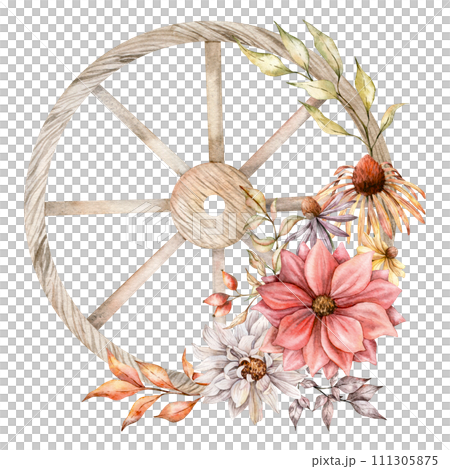 Old wooden wheel with dired flowers with dahlia. Hand painted asters. Watercolor illustration. Fall leaves, and plants for greeting cards, rustic wedding invitations, decorations. 111305875