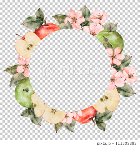 Watercolor blooming apple tree branches, green and red ripe Apples round frame. Hand drawn apple slices illustration for juice pack, card, invitation, tags 111305885