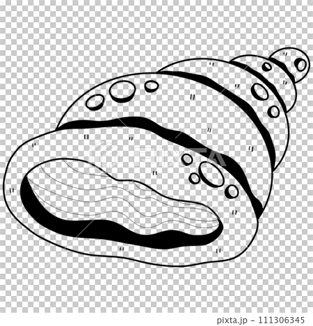 Shellfish illustration Hand drawn doodle Sketch line Shellfish illustration Hand drawn doodle Sketch line 111306345