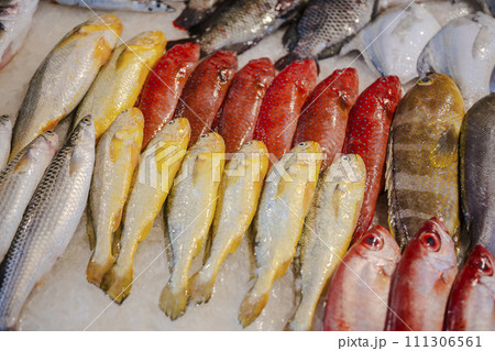 鮮魚店 さかなや さかな屋 111306561