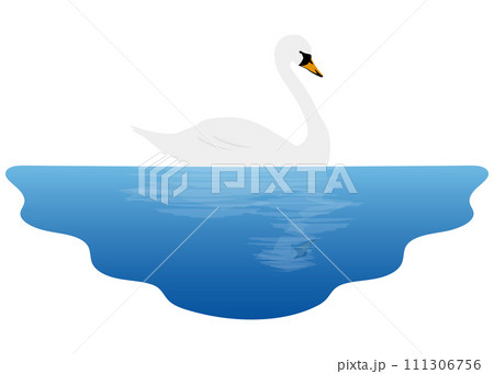 湖に浮かぶ白鳥 111306756