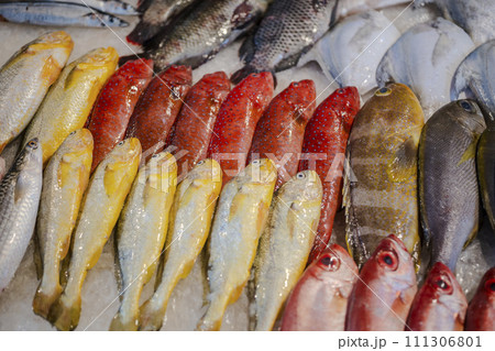 鮮魚店 さかなや さかな屋 111306801