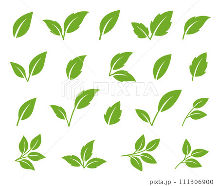 set of abstract green leaves icons, environmental emblem and greenery label, branches, twigs and sprigs set of abstract green leaves icons, environmental emblem and greenery label, branches, twigs and sprigs 111306900