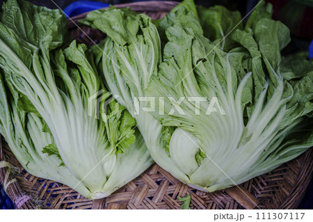 野菜 ベジタブル 青菜 111307117