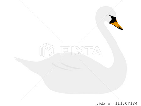 白鳥　イラスト 111307184