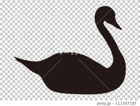 天鵝剪影 111307185