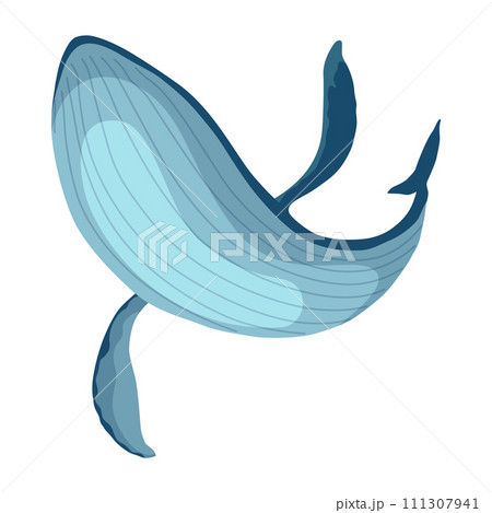 Clue whale, aquatic mammal. Awesome marine animal. Cartoon vector graphic. Isolated drawing illustration on white background 111307941