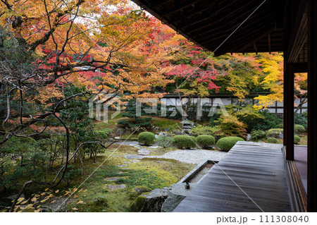 泉涌寺御座所縁側からの景観 111308040