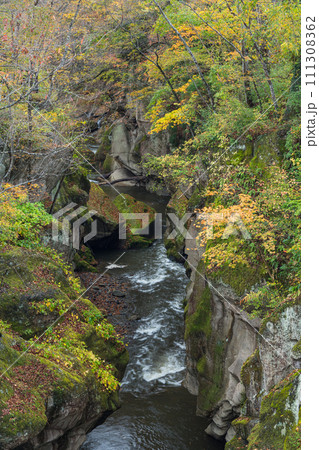 日本　宮城県仙台市太白区を流れる名取川と奇岩が並ぶ峡谷、磊々峡の紅葉 111308362