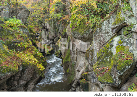 日本　宮城県仙台市太白区を流れる名取川と奇岩が並ぶ峡谷、磊々峡の紅葉 111308365