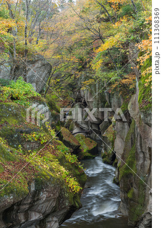 日本　宮城県仙台市太白区を流れる名取川と奇岩が並ぶ峡谷、磊々峡の紅葉 111308369