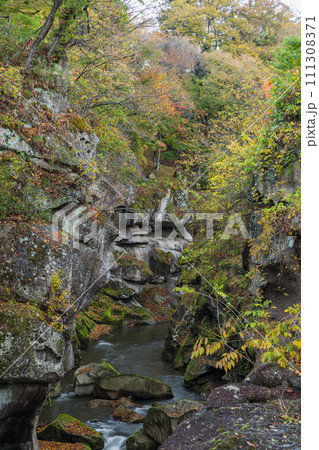 日本　宮城県仙台市太白区を流れる名取川と奇岩が並ぶ峡谷、磊々峡の紅葉 111308371
