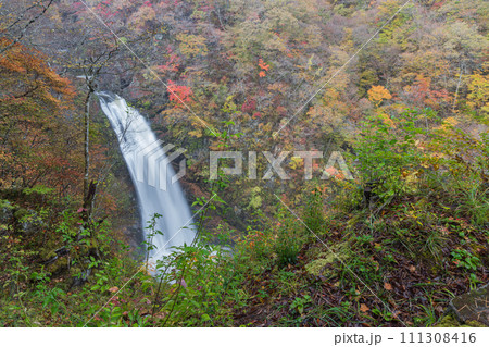 日本 宮城県仙台市太白区秋保町にある秋保大滝と紅葉 日本 宮城県仙台市太白区秋保町にある秋保大滝と紅葉 111308416
