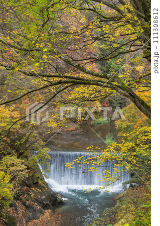 日本　宮城県大崎市鳴子温泉にある峡谷、鳴子峡の遊歩道から見える紅葉と大谷川 111308612