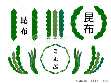 昆布のイラスト素材セット 111309359