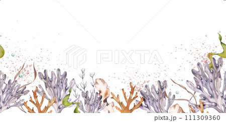 marine-themed seamless banner. shells, corals, starfish, algae. watercolor illustration. isolated on a white background. For fabric, textiles, wallpaper, clothing beach, summer accessories 111309360