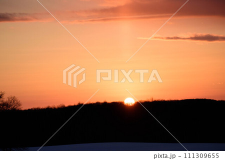冬の夕暮れの雪景色 111309655