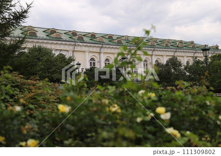 The blurred garden with white roses in front and beautiful architecture building on the background. The blurred garden with white roses in front and beautiful architecture building on the background. 111309802