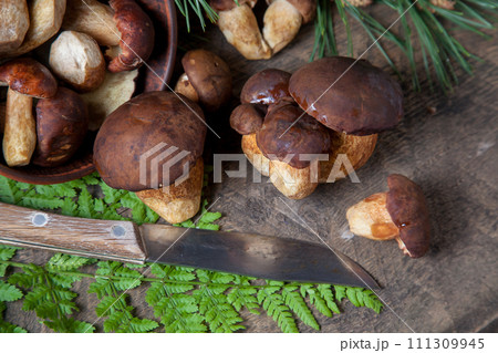 Imleria Badia or Boletus badius mushrooms commonly known as the bay bolete, clay bowl with mushrooms and knife on vintage wooden background.. Imleria Badia or Boletus badius mushrooms commonly known as the bay bolete, clay bowl with mushrooms and knife on vintage wooden background.. 111309945
