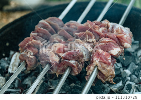 Barbecue outdoor close-up. BBQ food party summer grilling meat. Barbecue on a stick 111310729