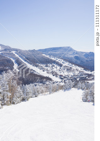 晴天の志賀高原焼額山スキー場 晴天の志賀高原焼額山スキー場 111311172