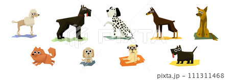 Different Dog Pet Breeds Flat Icon Vector Set 111311468